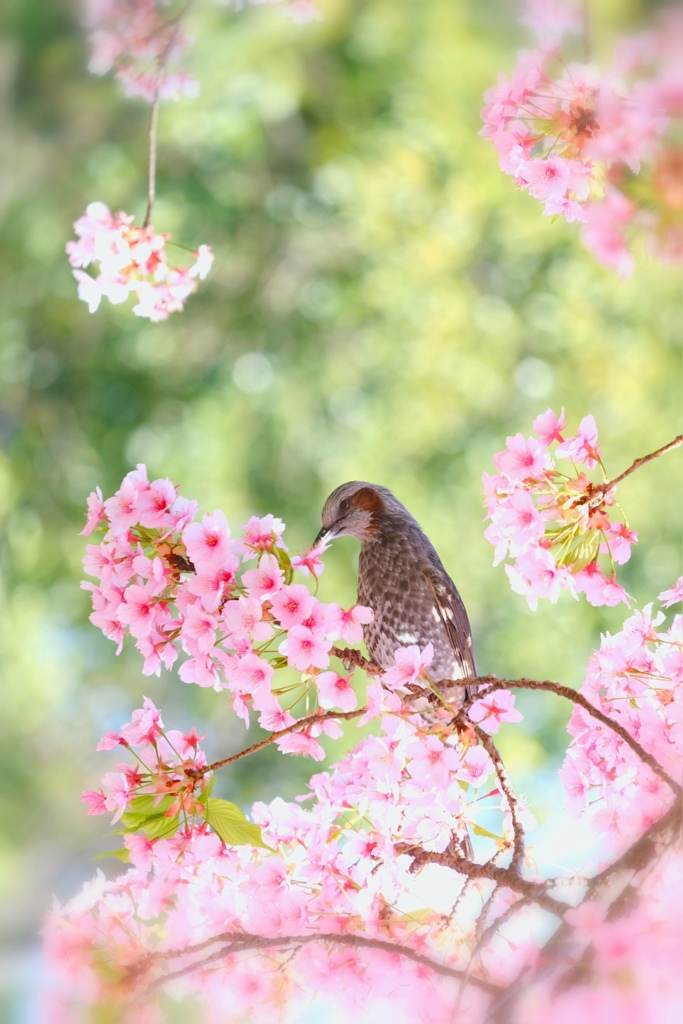 たまには私も撮ってね♪