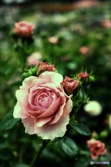 classic♪
