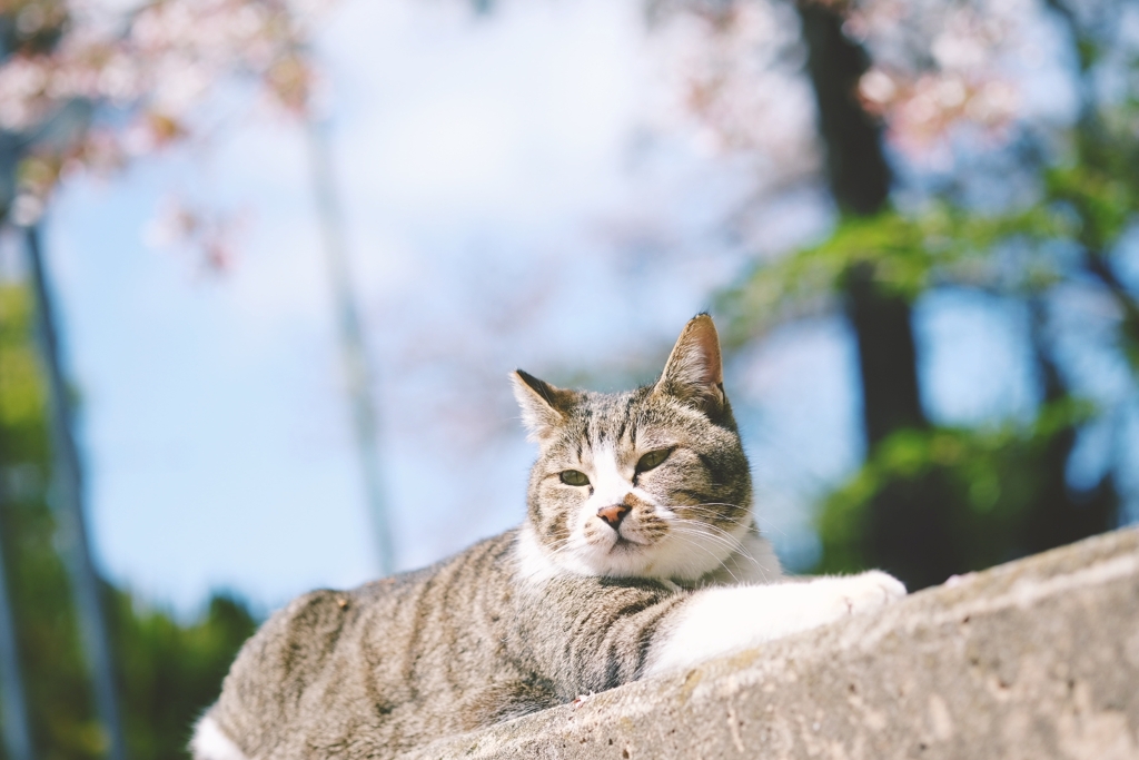 ひとやすみ、ひとやすみ