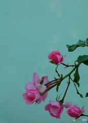 Something serene...