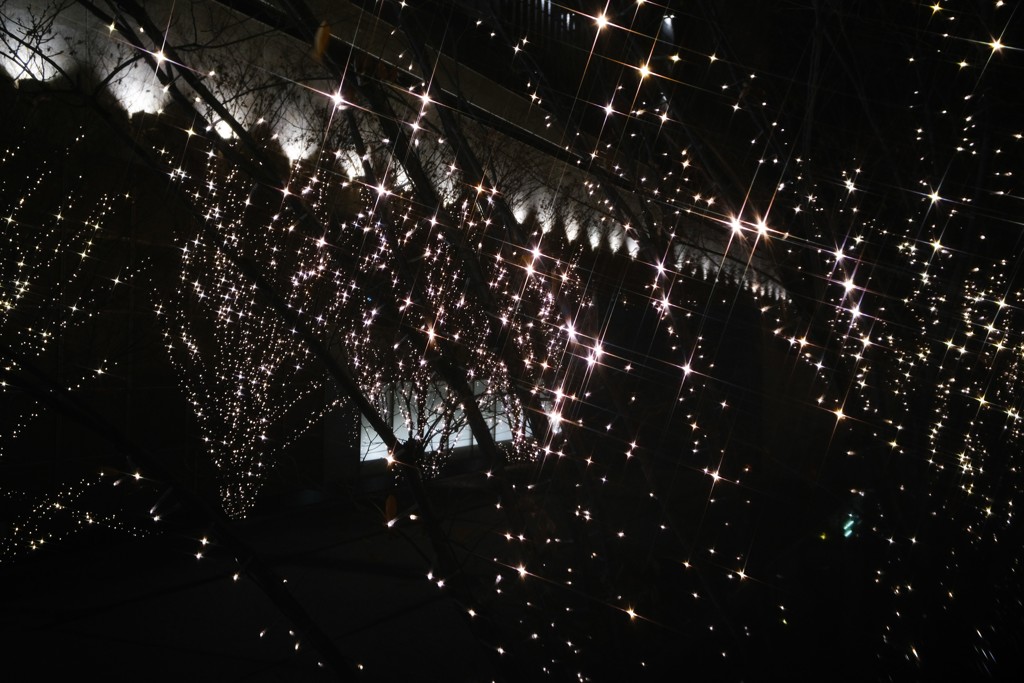 Happy New Year!