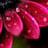 Rainy day