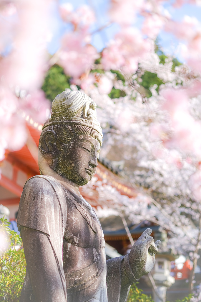 仏像と桜でポトレ風に