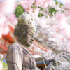仏像と桜でポトレ風に