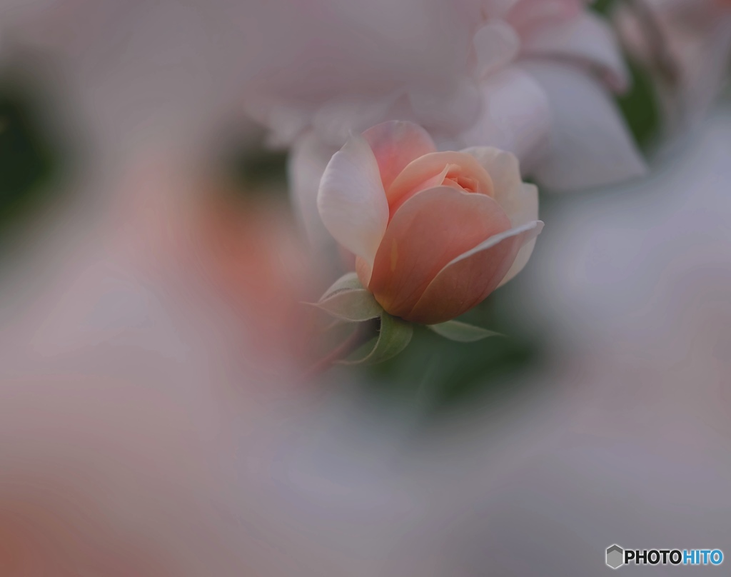 Close your eyes♡