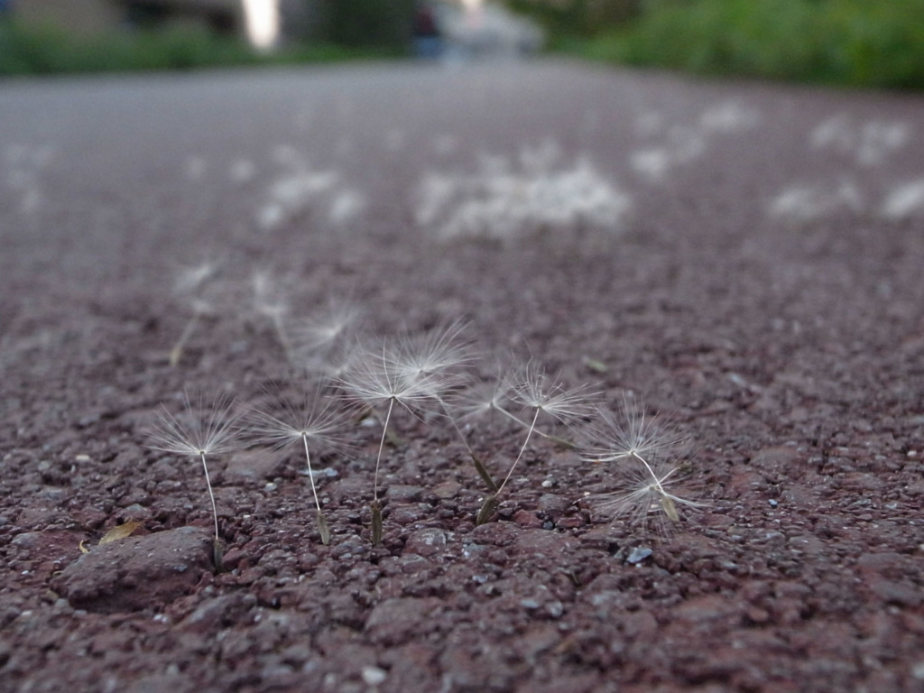此処ではない何処かへ