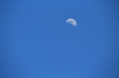 青空と半月
