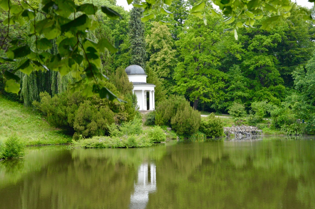 DSC_0185