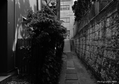 神楽坂６