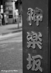 写真の通り
