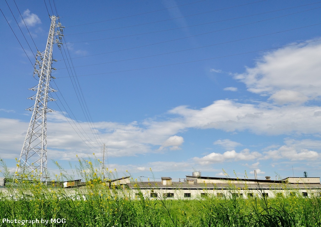 綾瀬川沿いの工場