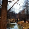 ムーミンの公園