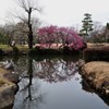 偕楽園２