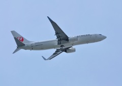 飛行機