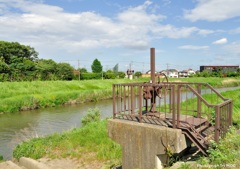 綾瀬川沿い