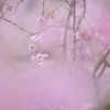 カメラ内現像