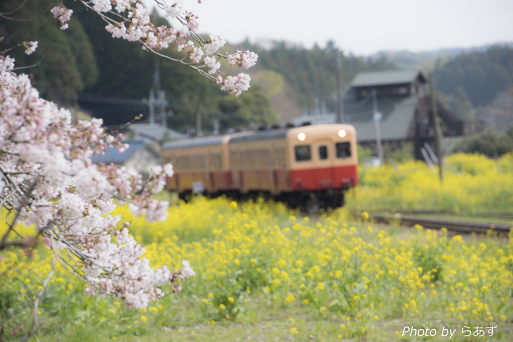 小湊鉄道月崎駅より