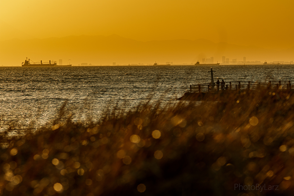 _at dusk