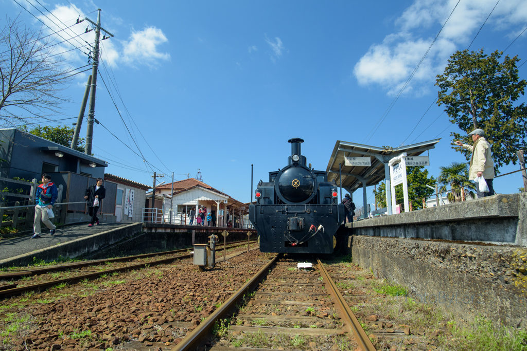 トロッコ列車に