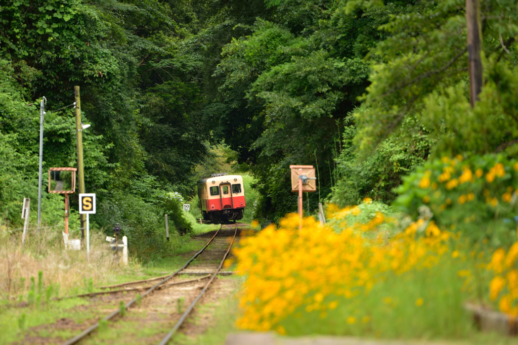 小湊鉄道