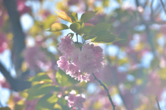 ふんわり
