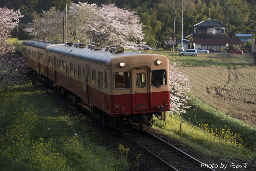 小湊鉄道飯給駅２
