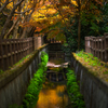 _ohmachipark: waterway