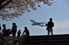 KLM