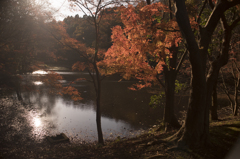 紅葉～