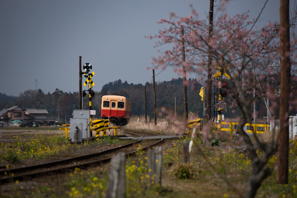 小湊鉄道