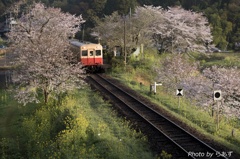 小湊鉄道飯給駅