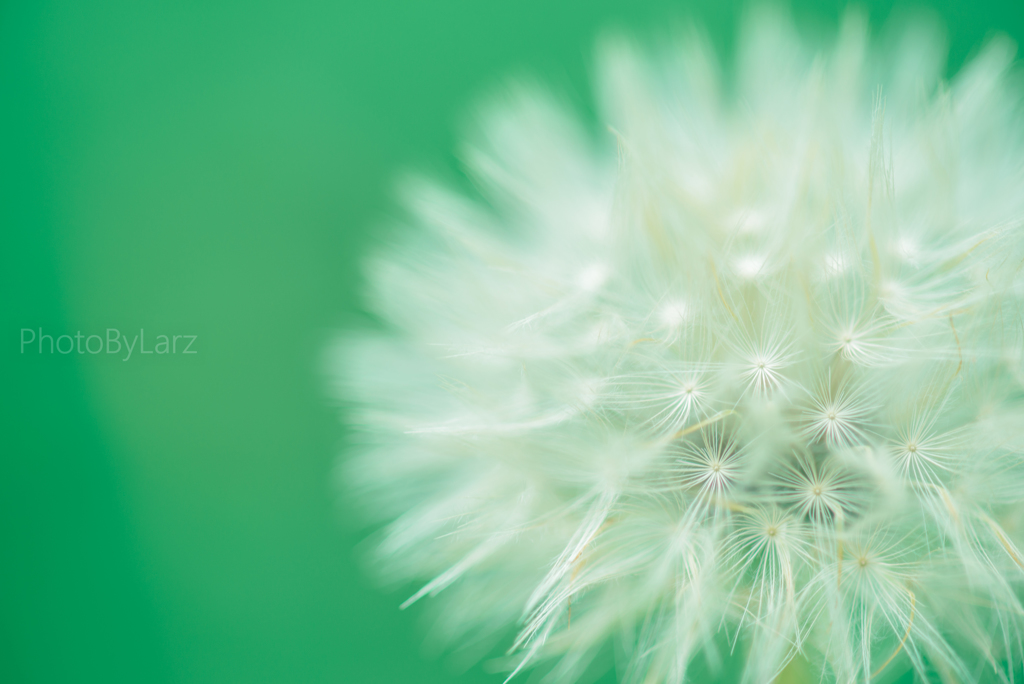 _watage