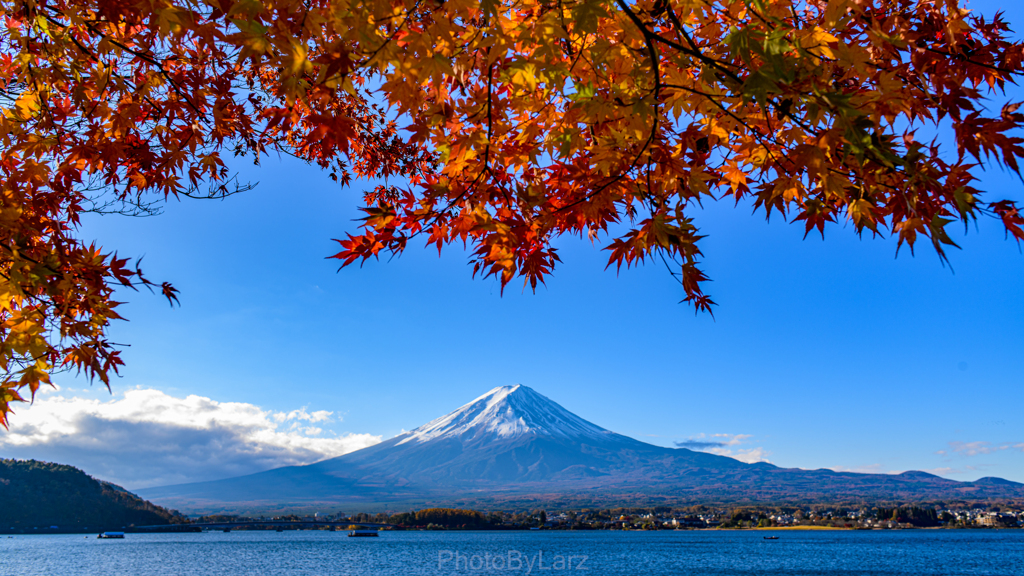 紅葉。