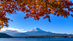 紅葉。