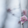_ume:metal