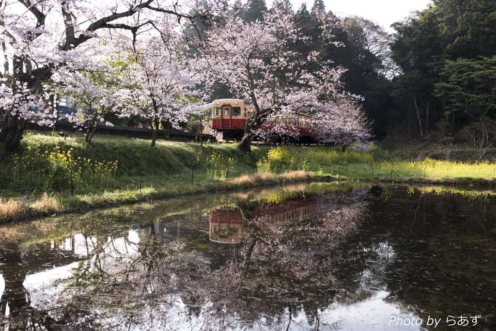 小湊鉄道飯給駅