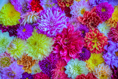 花手水？