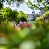 亀戸天神〜スカイツリー