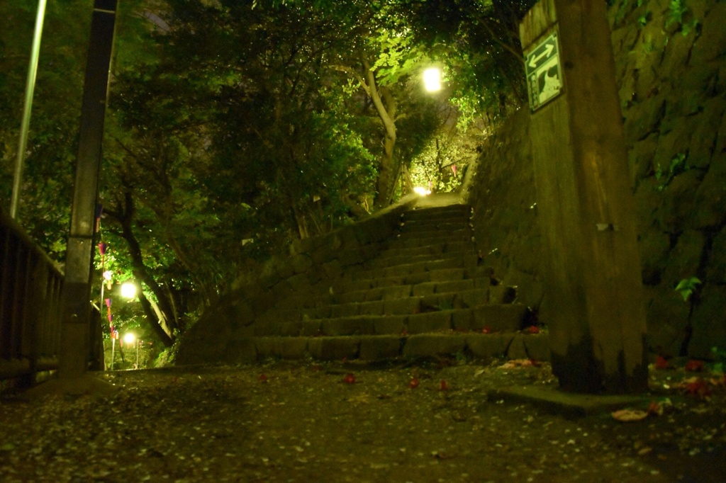 練習4