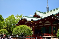 亀戸天神〜スカイツリー