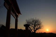 鳥居と木と朝日と