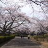 DSCF1712