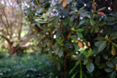 DSCF1766