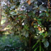 DSCF1766