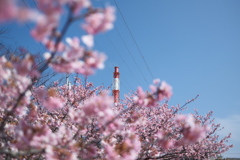 DSCF1663