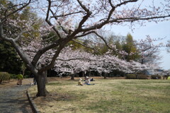 DSCF1724
