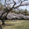 DSCF1724