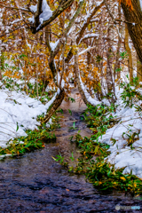 雪化粧