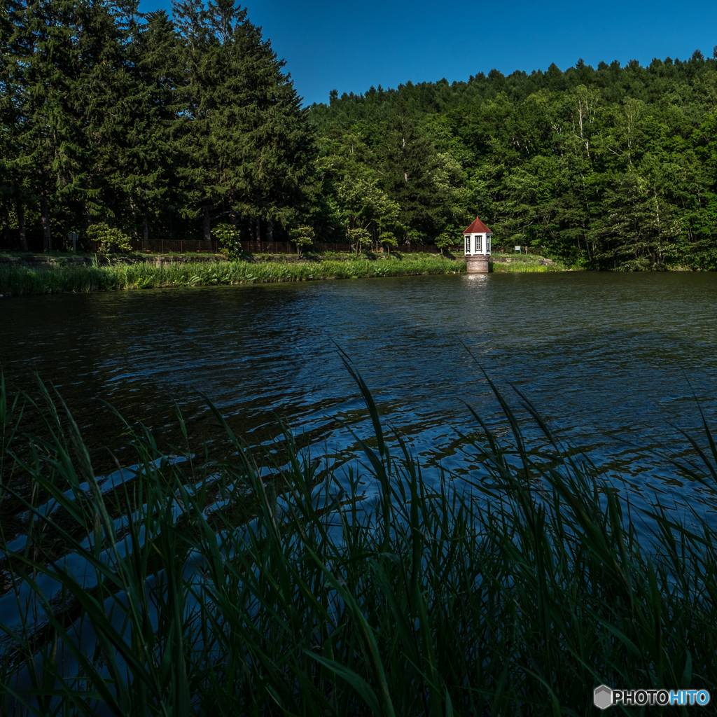水源地公園