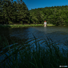 水源地公園